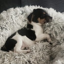 Nyugtató Plüss Fekhely (Továbbfejlesztve)