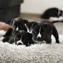 Nyugtató Plüss Fekhely (Továbbfejlesztve)