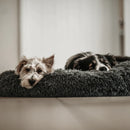 Nyugtató Plüss Fekhely (Továbbfejlesztve)