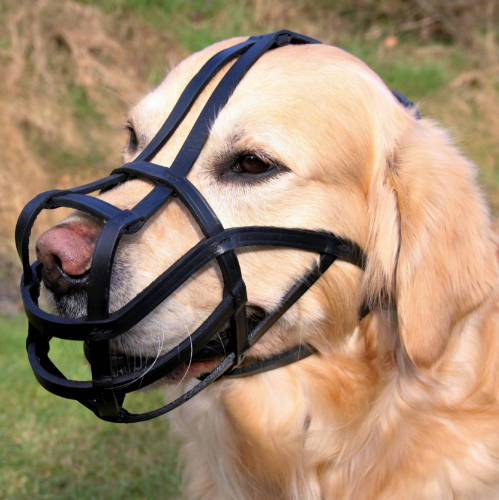 KT:trixie 1879 bőr szájkosár XL