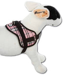 Aqua Coolkeeper Skótmintás Pink XL (74-104cm)