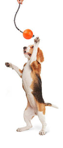 LIKER Cord 7 Line - játék (labda kötéllel,narancssárga) kutyák részére (ø7cm)