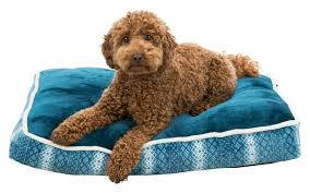 Trixie Xmas Lumi cushion - négyszögletes párna (petrolzöld/fehér) kutyák részére (70x50cm)