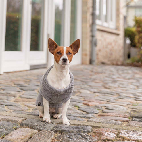 Trixie Pullover CityStyle Berlin - pulóver (szürke) kutyák részére (XS) 30cm