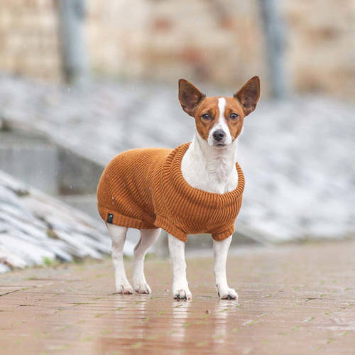 Trixie Pullover CityStyle Berlin - pulóver (rozsdabarna) kutyák részére (S) 33cm