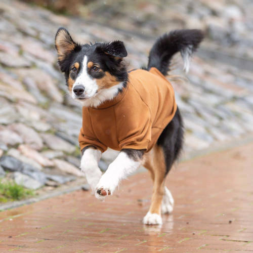 Trixie Pullover CityStyle Berlin - pulóver (rozsdabarna) kutyák részére (M) 45cm
