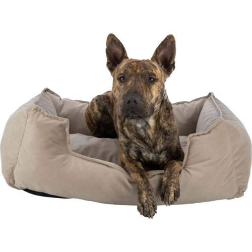 Trixie Talia bed - szögletes, peremes ágy (homokszín) kutyák részére (60x50cm)