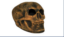 AquaDeckor - kerámia koponya (M) - akváriumba (cca.15cm)