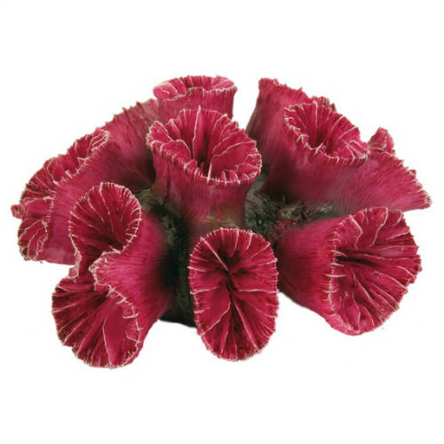 trixie 8809 korall 10-13cm