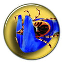 Trixie Tick Away Tick Remover - kullancseltávolító kanál (több féle színben) kisállatok részére (6,5cm)