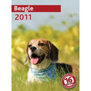 trixie 12548 naptár beagle