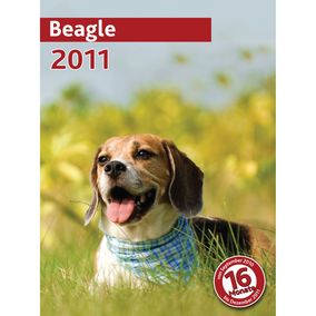 trixie 12548 naptár beagle