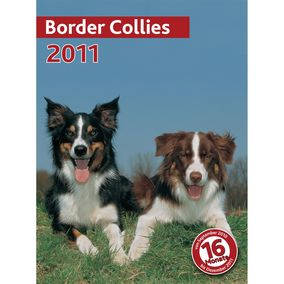 trixie 12550 naptár border collie