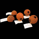 JBL Cocos Cava - kókuszhéj barlang akváriumok és terráriumok számára (1/1 L)