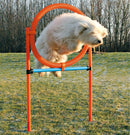 trixie 3208 Dog Activity játék Agility gyűrű