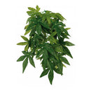 Trixie Silk Hanging Plant Abutilon Small - Terráriumi selyem függő növény (Abutilon) 20x30cm