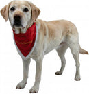 Trixie Xmas Collar with Neckerchief Necki - sálas nyakörv (Xmas,piros) S-M (30-40cm/20mm)