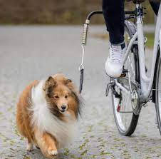 Trixie Dog Biker Kit - kiegészítő felszerelés (kutyák részére) kerékpárhoz (S-M)