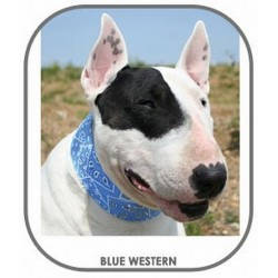 Aqua Coolkeeper Cooling collar - hűtőnyakörv (kék) kutyák részére (3XL) 60-70cm/9cm