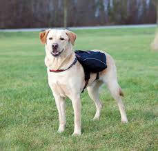 Trixie Backpack - hátizsák (fekete/piros) kutyák részére (29x15cm)