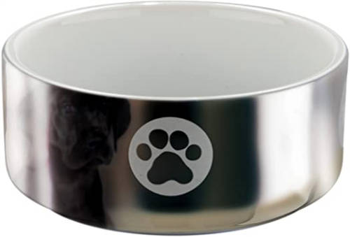 Trixie Ceramic Bowl - kerámia tál (fehér,ezüst) kutyák részére (0,3l /Ø12cm)