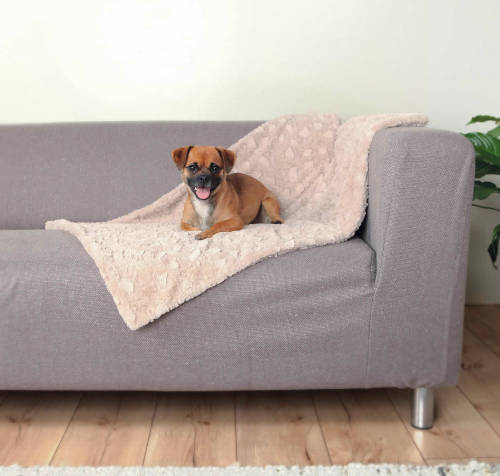 Trixie Cosy Blanket - mintás takaró (bézs) kutyák részére (100x70cm)