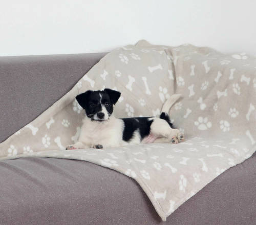 Trixie Kenny Blanket - takaró (bézs,mintás) macskák részére (100x150cm)