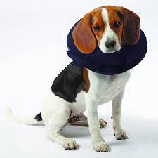 Trixie Protective Collar, inflatable - felfújható, védőgallér S (kék) kutyák részére (24-31cm/9.5cm)