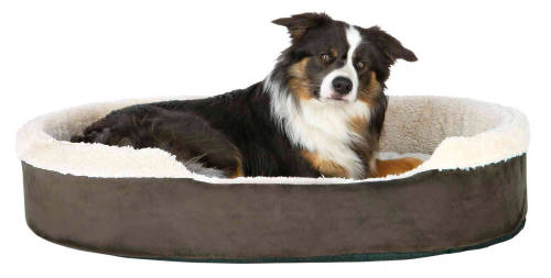 Trixie Cosma Bed - ovális, peremes fekhely (barna/bézs) kutyák részére (70x50cm)