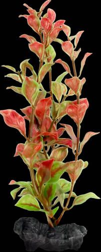Tetra Decoor Plant  - műnövény (Red Ludwiga) akváriumokba (M) 23cm