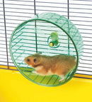 SAVIC Rolly Medium - Futókerék (műanyag) rágcsálók részére (Ø18cm)