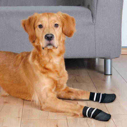 Trixie Dog Socks - zokni (csúszásmentes gumitalppal,fekete) kutyák részére (XL)