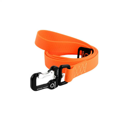 Póráz Evolutor, 25mm,210 cm, narancs