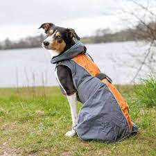 Trixie Solid Raincoat for Dogs - esőkabát (szürke,narancs) kutyák részére (XS) 25cm -kifutó termék