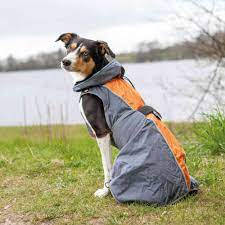 Trixie Solid Raincoat for Dogs - esőkabát (szürke,narancs) kutyák részére (S) 40cm - kifutó termék