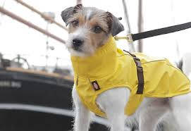 Trixie Dog raincoat Vimy - esőkabát (sárga) kutyák részére (S) 40cm