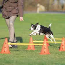 Trixie Sporting Obstacle Set - agility akadály (ugró akadály) kutyák részére (Ø23cm x 30/78cm)