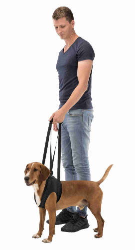 Trixie Walking Aid - Sétáltatást segítő kutyahám - fekete - (M) 55–65cm/25kg