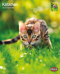 Trixie Calendar Kittens - falinaptár (kölyök macskák) 2021