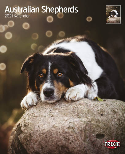 Trixie Calendar Australian Shepherd - falinaptár (Ausztrál juhászkutya) 2021