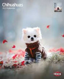 Trixie Calendar Chihuahuas - falinaptár (Csivava) 2021