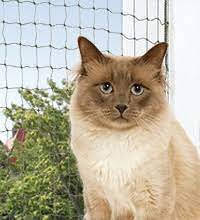 Trixie Protective Net, reinforced - védőháló (olivazöld) macskák részére (2x1,5m)