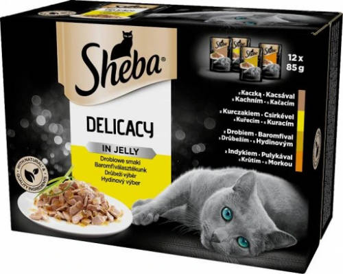 Sheba Delicacy in Jelly Adult - Alutasakos (Baromfi válogatás, zselés) macskák részére (12x85g)