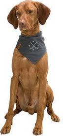 Trixie Be Nordic neckerchief - kendős nyakörv (sötétszürke, mintával) kutyák részére (M) 40cm
