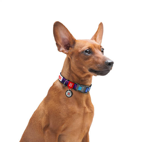 WAUDOG collar NASA21 - nyakörv (QR kódos, NASA21 dizájn, müa.csatt) kutyák részére (24-40cm/20mm) M