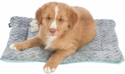 Trixie junior lying mat - fekhely (világosszürke/menta) kölyök kutyák részére (50x40cm)