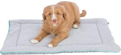 Trixie junior lying mat - fekhely (világosszürke/menta) kölyök kutyák részére (70x50cm)