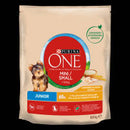 Purina ONE Mini/Small Junior - száraztáp (csirke,rizs) kutyák részére (800g)