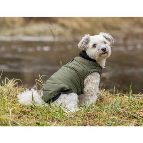 Trixie Arlay Dog Coat - kabát (sötétzöld) kutyák részére (XXS) 24cm