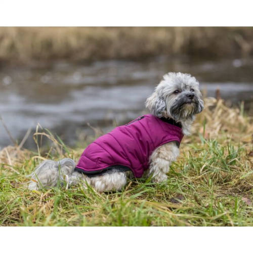 Trixie Arlay Dog Coat - kabát (bordó/berry) kutyák részére (XS) 27cm